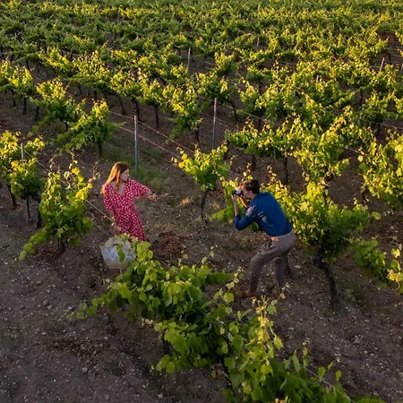 Baglio Oneto Dei Principi Di San Lorenzo - Luxury Wine マルサラ