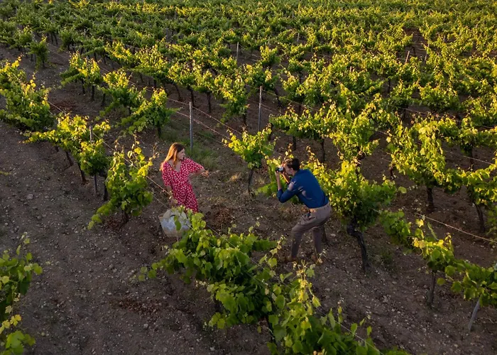 Baglio Oneto Dei Principi Di San Lorenzo - Luxury Wine Marsala
