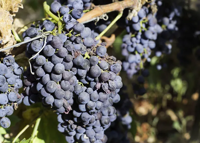 Baglio Oneto Dei Principi Di San Lorenzo - Luxury Wine Hotel